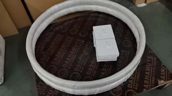 स्टेनलेस स्टील 316 ऑक्टागोनल रिंग-ज्वाइंट गैस्केट BX152 ASME B16.20 के लिए API6A पाइप फ्लैंज